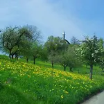 Landgasthof Hirschen 3*