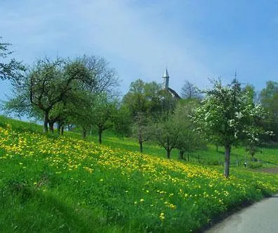 Landgasthof Hirschen 3*