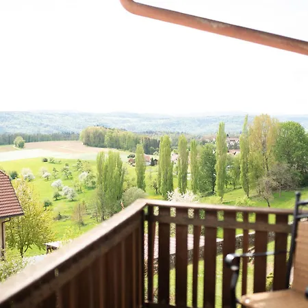 Landgasthof Hirschen 3* Albbruck