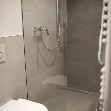 Gasthuis Landgasthof Hirschen Albbruck