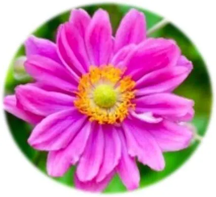 Landgasthof Hirschen 3*