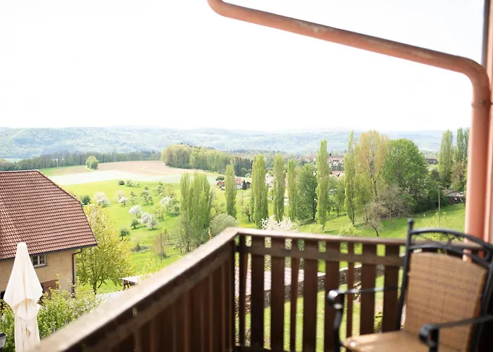 Landgasthof Hirschen 3* Albbruck